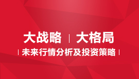 《大战略 大格局》----- 未来行情分析及投资策略